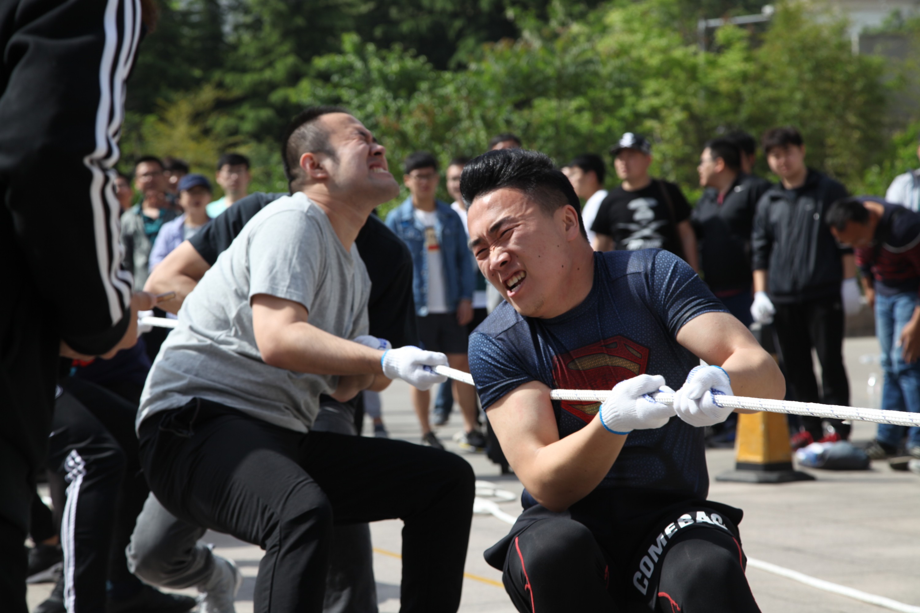 1494848820951782lw4z.jpg 1494848820951782lw4z.jpg