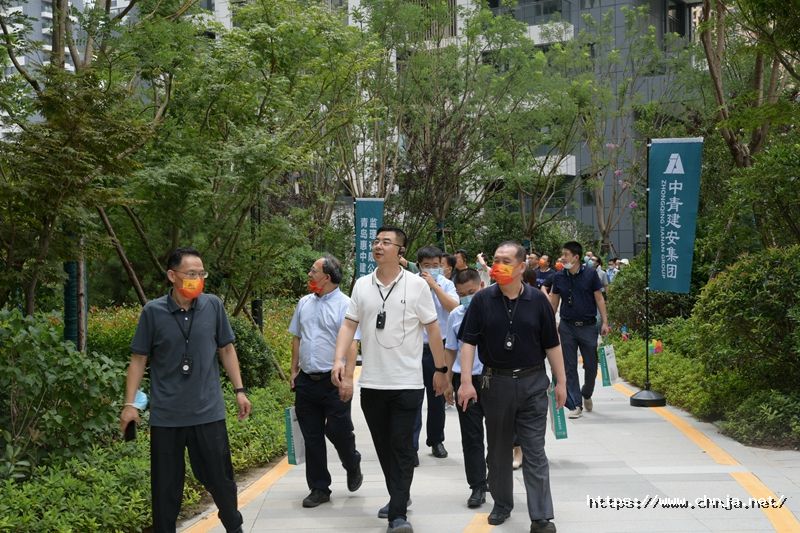 1659316437214465v1VA.jpg 副本04.jpg